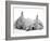 Golden Retriever Puppy Sleeping Between Two Young Sandy Lop Rabbits-Jane Burton-Framed Premium Photographic Print