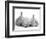 Golden Retriever Puppy Sleeping Between Two Young Sandy Lop Rabbits-Jane Burton-Framed Premium Photographic Print