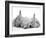 Golden Retriever Puppy Sleeping Between Two Young Sandy Lop Rabbits-Jane Burton-Framed Photographic Print