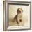 Golden Retriever Puppy-Christopher C Collins-Framed Photographic Print