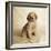 Golden Retriever Puppy-Christopher C Collins-Framed Photographic Print