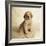 Golden Retriever Puppy-Christopher C Collins-Framed Photographic Print