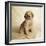 Golden Retriever Puppy-Christopher C Collins-Framed Photographic Print