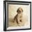 Golden Retriever Puppy-Christopher C Collins-Framed Photographic Print