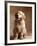 Golden Retriever Puppy-Don Mason-Framed Photographic Print