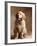 Golden Retriever Puppy-Don Mason-Framed Photographic Print