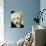 Golden Retriever Puppy-Bill Varie-Photographic Print displayed on a wall