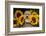 Golden Retriever Puppy-Lynn M^ Stone-Framed Photographic Print