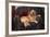 Golden Retriever Resting in Armchair-DLILLC-Framed Photographic Print