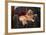 Golden Retriever Resting in Armchair-DLILLC-Framed Photographic Print