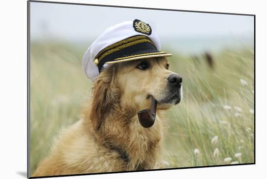 Golden Retriever Wearing Captains Hat Smoking a Pipe-null-Mounted Photographic Print