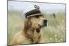 Golden Retriever Wearing Captains Hat Smoking a Pipe-null-Mounted Photographic Print