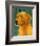 Golden Retriever-John Golden-Framed Giclee Print