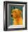 Golden Retriever-John Golden-Framed Giclee Print