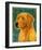 Golden Retriever-John Golden-Framed Giclee Print