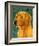 Golden Retriever-John Golden-Framed Giclee Print