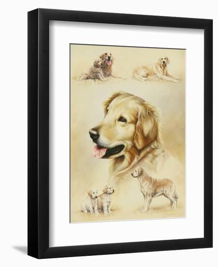 Golden Retriever-Libero Patrignani-Framed Art Print