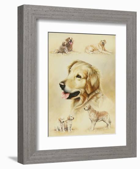 Golden Retriever-Libero Patrignani-Framed Art Print