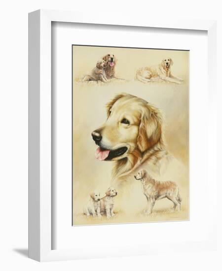 Golden Retriever-Libero Patrignani-Framed Art Print