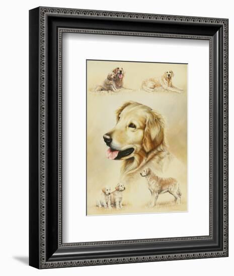 Golden Retriever-Libero Patrignani-Framed Art Print