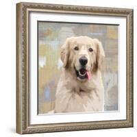 Golden Retriever-Keri Rodgers-Framed Giclee Print