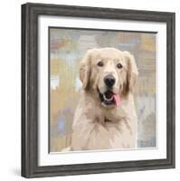 Golden Retriever-Keri Rodgers-Framed Giclee Print