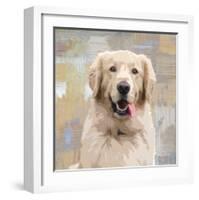 Golden Retriever-Keri Rodgers-Framed Giclee Print