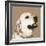 Golden Retriever-Emily Burrowes-Framed Giclee Print