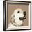 Golden Retriever-Emily Burrowes-Framed Giclee Print