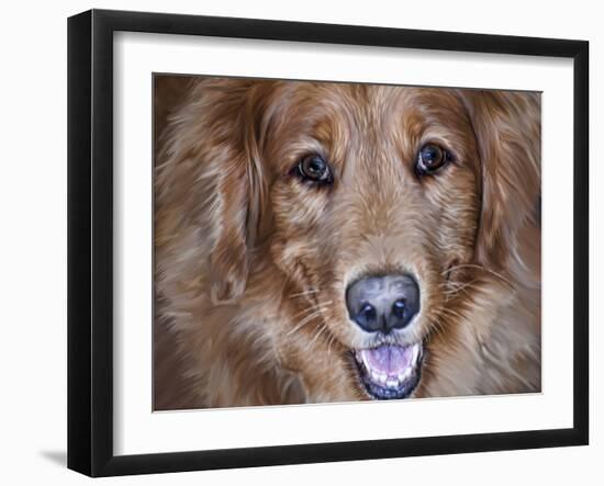 Golden Retriever-Lori Hutchison-Framed Photographic Print