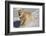 Golden Retriever-Lynn M^ Stone-Framed Photographic Print