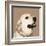 Golden Retriever-Emily Burrowes-Framed Art Print