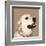 Golden Retriever-Emily Burrowes-Framed Art Print