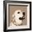 Golden Retriever-Emily Burrowes-Framed Art Print