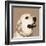 Golden Retriever-Emily Burrowes-Framed Art Print