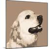 Golden Retriever-Emily Burrowes-Mounted Art Print