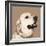 Golden Retriever-Emily Burrowes-Framed Art Print