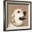 Golden Retriever-Emily Burrowes-Framed Art Print