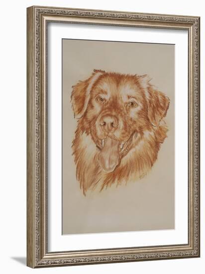 Golden Retriever-Barbara Keith-Framed Giclee Print