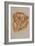 Golden Retriever-Barbara Keith-Framed Giclee Print