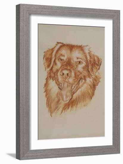 Golden Retriever-Barbara Keith-Framed Giclee Print