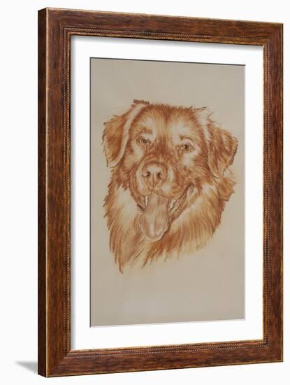 Golden Retriever-Barbara Keith-Framed Giclee Print