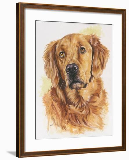 Golden Retriever-Barbara Keith-Framed Giclee Print