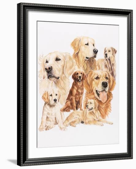 Golden Retriever-Barbara Keith-Framed Giclee Print