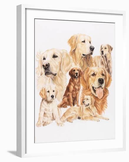 Golden Retriever-Barbara Keith-Framed Giclee Print