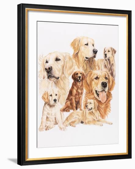 Golden Retriever-Barbara Keith-Framed Giclee Print