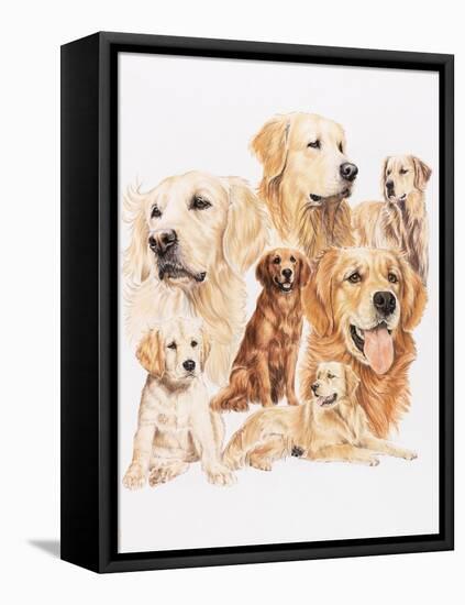 Golden Retriever-Barbara Keith-Framed Premier Image Canvas