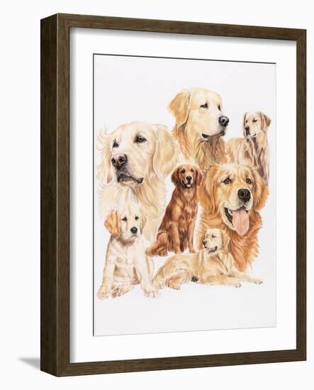 Golden Retriever-Barbara Keith-Framed Giclee Print