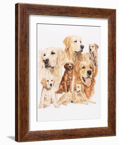 Golden Retriever-Barbara Keith-Framed Giclee Print