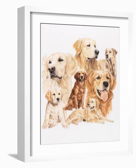 Golden Retriever-Barbara Keith-Framed Giclee Print